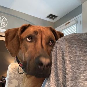 Meet your Posher, Marcia